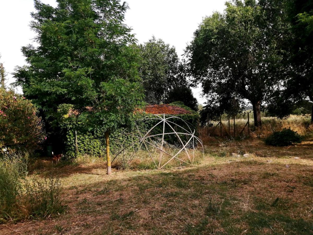 Maison d'hôtes Da Pino à Montemerano Extérieur photo